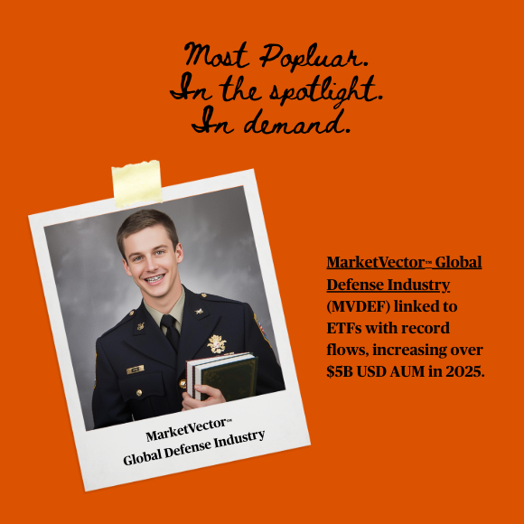 2025 indexes of the year - MVDEF - 580x580