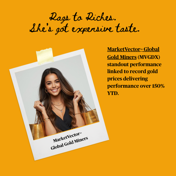 mv-2025-indexes-mvgdx -580x580