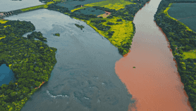 Brazil at an Economic Crossroad
